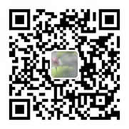 ���ƹ��ں�