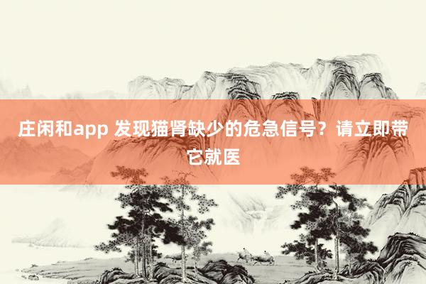庄闲和app 发现猫肾缺少的危急信号？请立即带它就医
