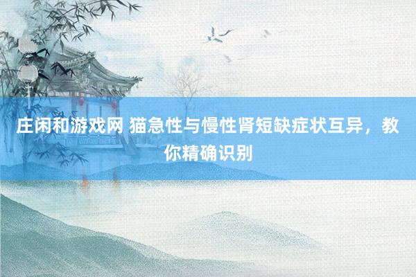 庄闲和游戏网 猫急性与慢性肾短缺症状互异，教你精确识别