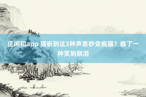 庄闲和app 猫听到这3种声息秒变疯猫？临了一种笑到飙泪