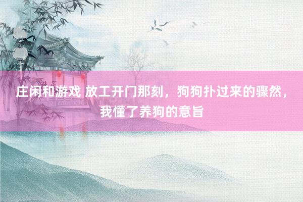 庄闲和游戏 放工开门那刻，狗狗扑过来的骤然，我懂了养狗的意旨