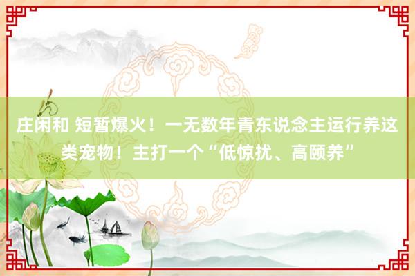 庄闲和 短暂爆火！一无数年青东说念主运行养这类宠物！主打一个“低惊扰、高颐养”