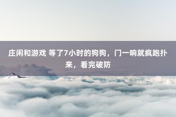 庄闲和游戏 等了7小时的狗狗，门一响就疯跑扑来，看完破防