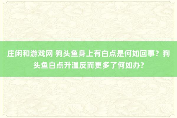庄闲和游戏网 狗头鱼身上有白点是何如回事？狗头鱼白点升温反而更多了何如办?