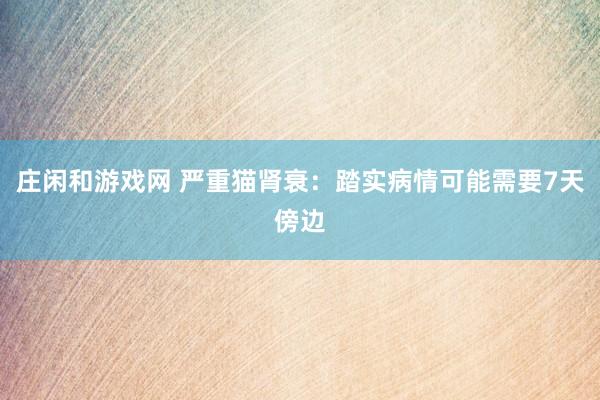 庄闲和游戏网 严重猫肾衰：踏实病情可能需要7天傍边