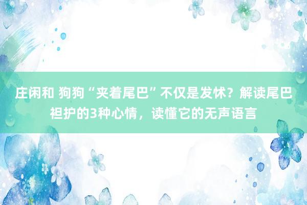 庄闲和 狗狗“夹着尾巴”不仅是发怵？解读尾巴袒护的3种心情，读懂它的无声语言