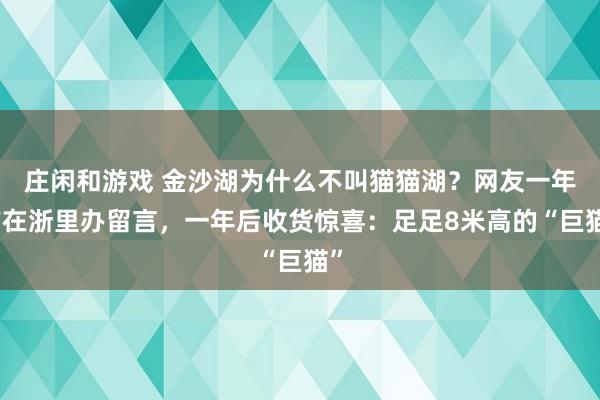 庄闲和游戏 金沙湖为什么不叫猫猫湖？网友一年前在浙里办留言，一年后收货惊喜：足足8米高的“巨猫”