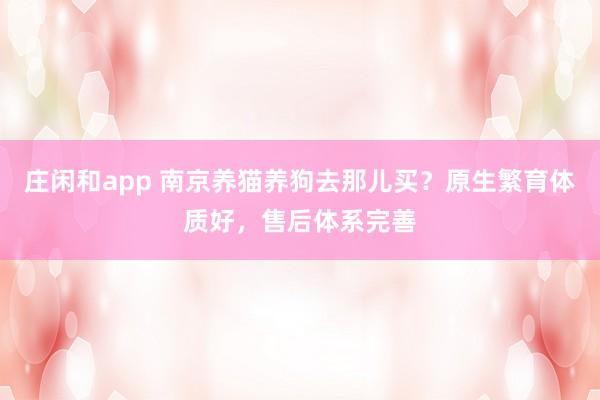 庄闲和app 南京养猫养狗去那儿买？原生繁育体质好，售后体系完善