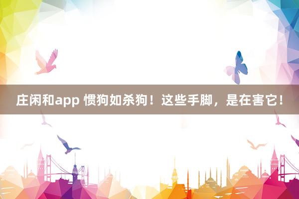 庄闲和app 惯狗如杀狗！这些手脚，是在害它！