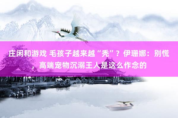 庄闲和游戏 毛孩子越来越“秃”？伊珊娜：别慌，高端宠物沉溺王人是这么作念的