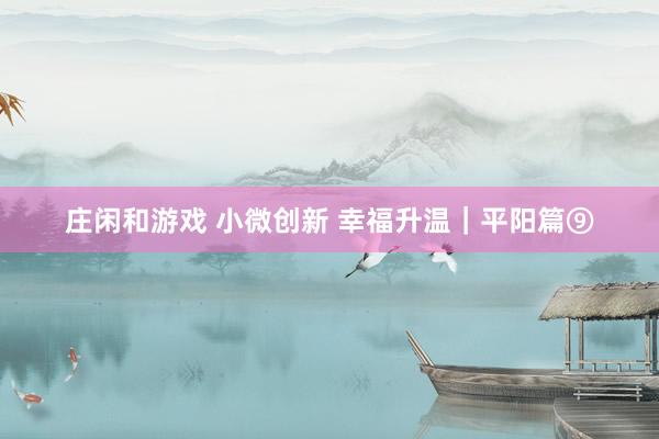 庄闲和游戏 小微创新 幸福升温｜平阳篇⑨