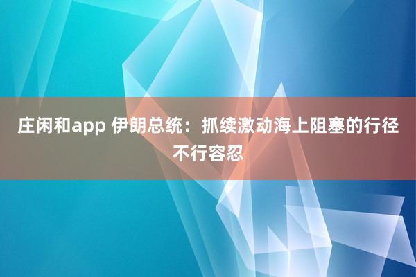 庄闲和app 伊朗总统：抓续激动海上阻塞的行径不行容忍